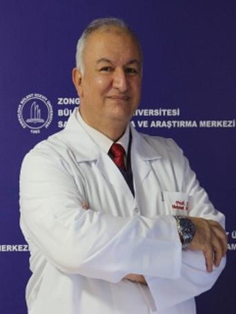 MEHMET ARASLI