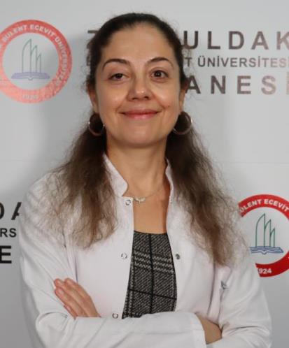 ZÜBEYDE İLKE NARLI