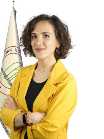 profile cover