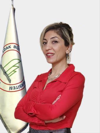 profile cover